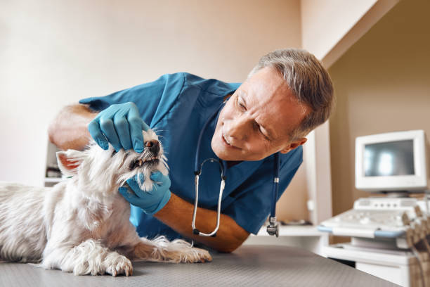 Best Emergency Dental Extractions in Albemarle, NC